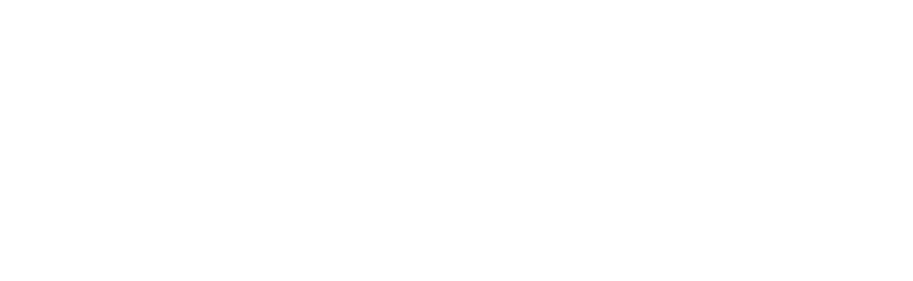 eluetion.com