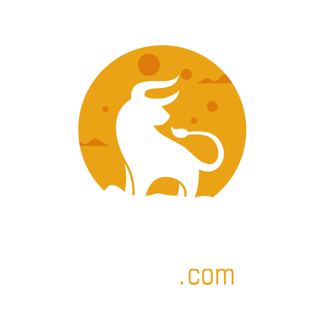 simeray.com